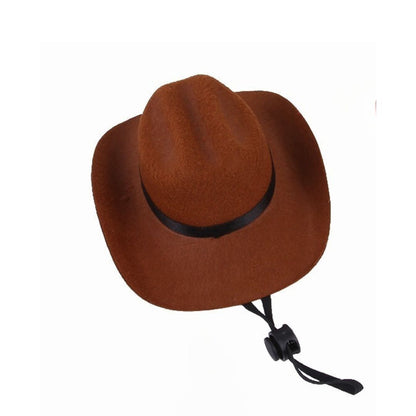 REMY COWBOY HAT