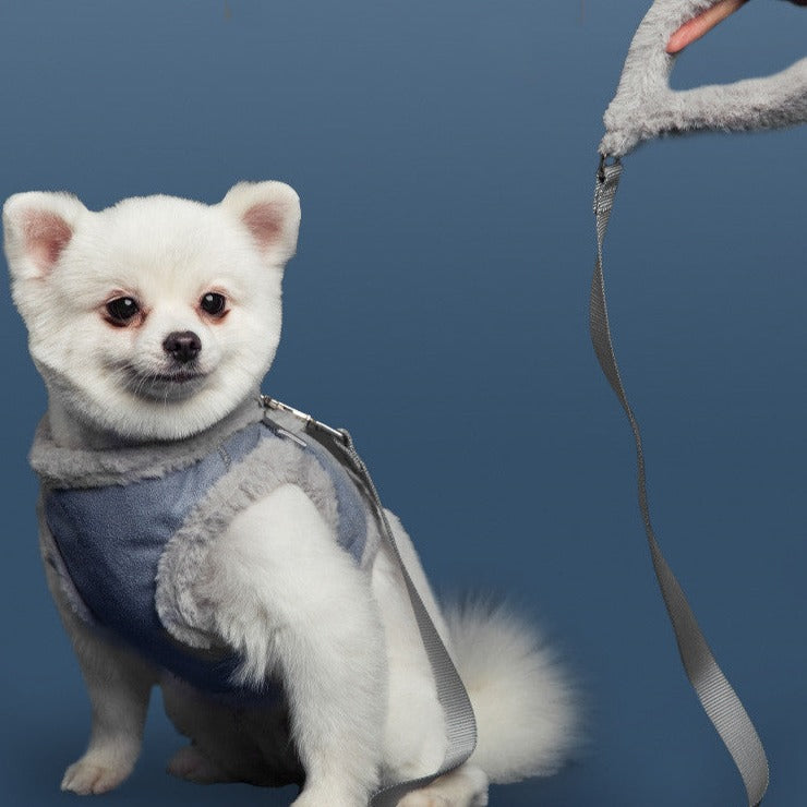 Cute white pomeranian wearing the Floofy Walkies Set in Grey