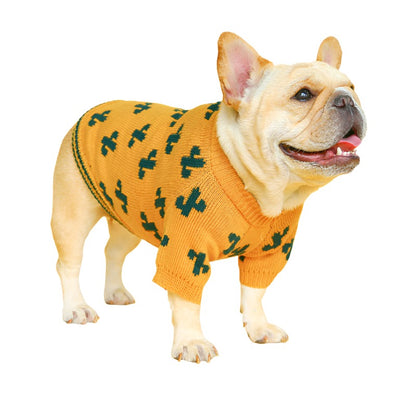 Cute french bulldog wearing yellow knitted jumper with green cactus pattern and double stripe on waisteband. Cozy sweater.