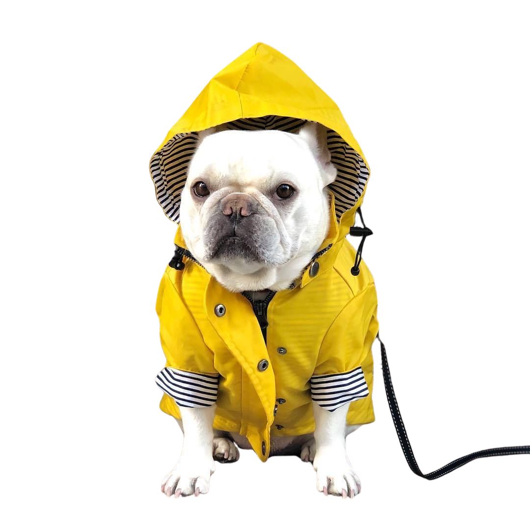 OGGIE RAINCOAT